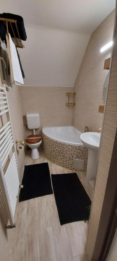 Villa Rhs Host à Bistriţa Extérieur photo